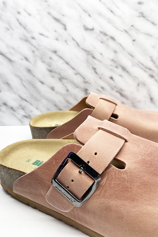 Sabot-2