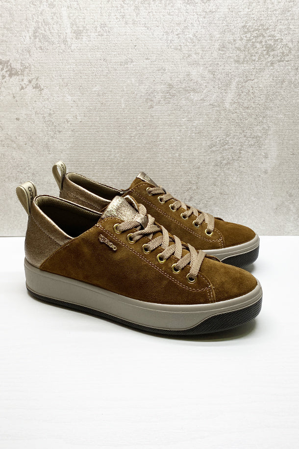 Sneakers IGI&CO-1