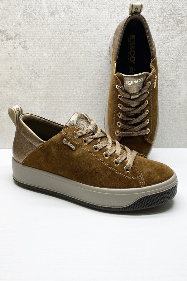 Sneakers IGI&CO-2